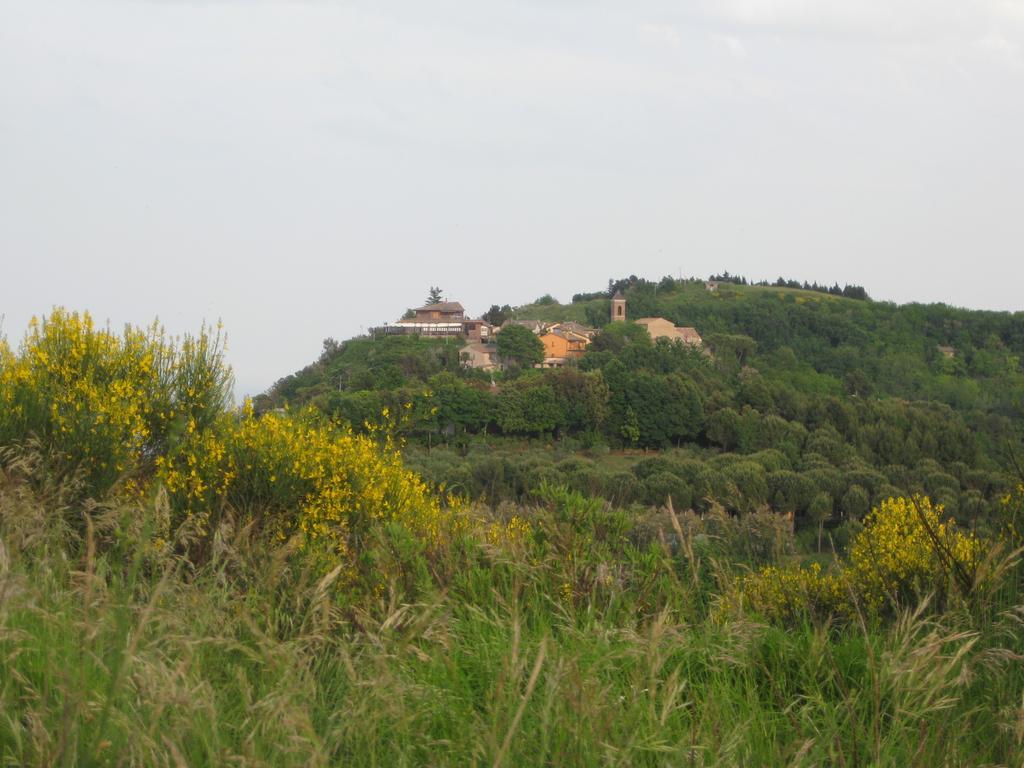 Da Lorella Hotel Gabicce Mare Buitenkant foto