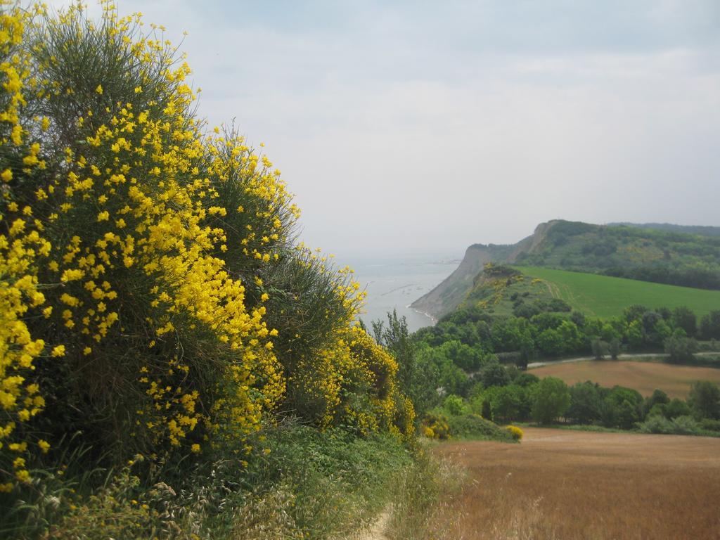 Da Lorella Hotel Gabicce Mare Buitenkant foto