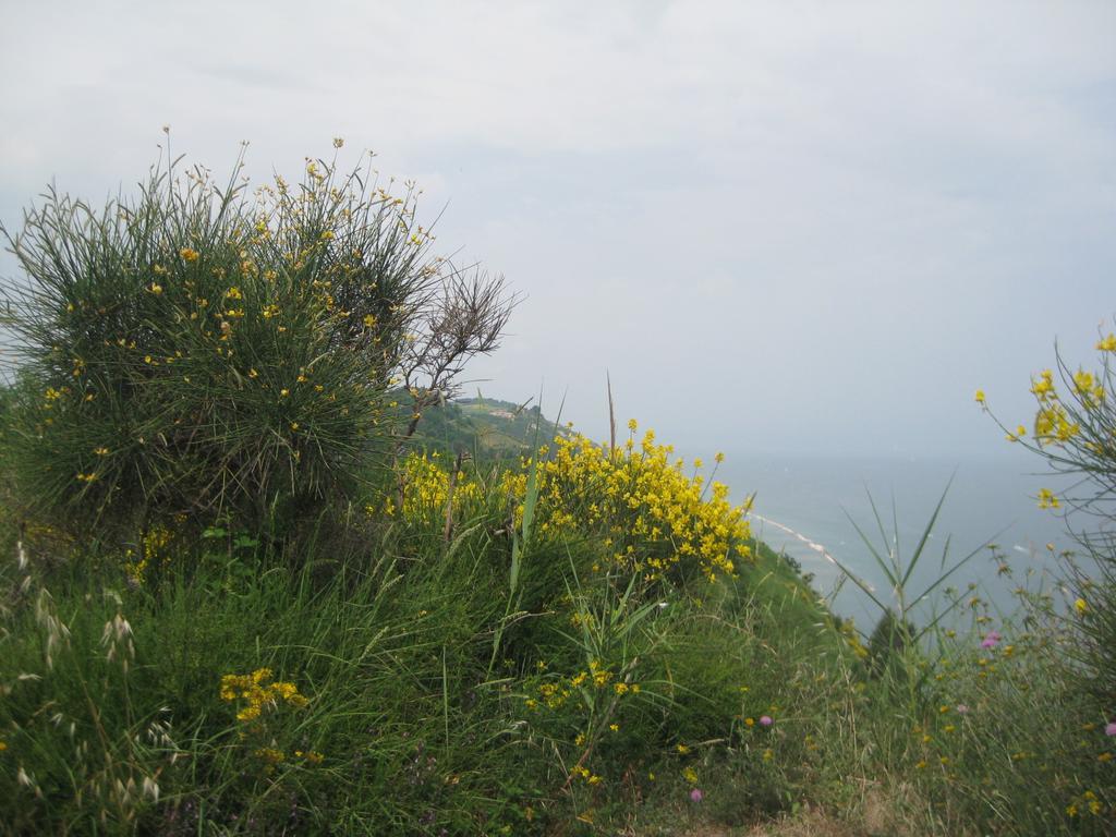 Da Lorella Hotel Gabicce Mare Buitenkant foto